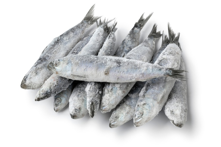 Anvisa manda recolher sardinha congelada por risco de contaminação