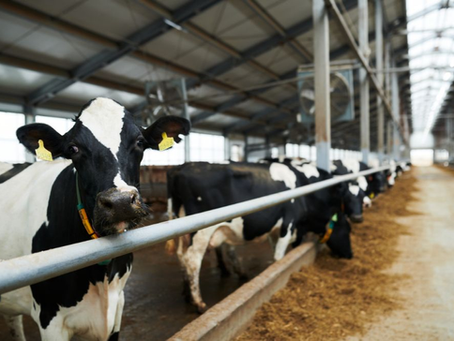 Justiça reconhece danos causados por interrupção de energia em propriedade rural