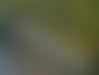 Ciclista morre após tentar subir em calçada e cair de 2 metros na Avenida Rei Pelé