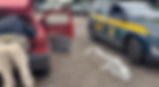 PRF intercepta carregamento de skank avaliado em milhares de reais na BR-381