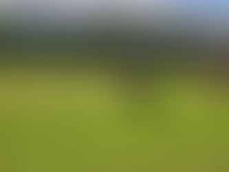 Bombeiros resgatam tamanduá em quintal de residência no Bairro Bortolan