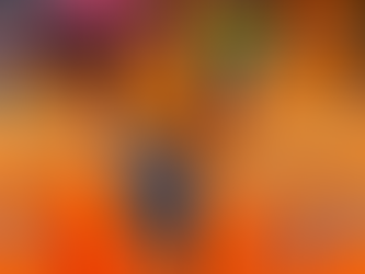 Guapé realiza primeiro Curso de Formação de Brigada Florestal para combate a incêndios