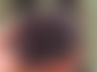 UFSC desenvolve cultivo de ouriço-do-mar em laboratório e amplia oferta para a gastronomia