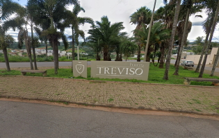 Varginha investiga morte de macaco no bairro Treviso para monitoramento da febre amarela