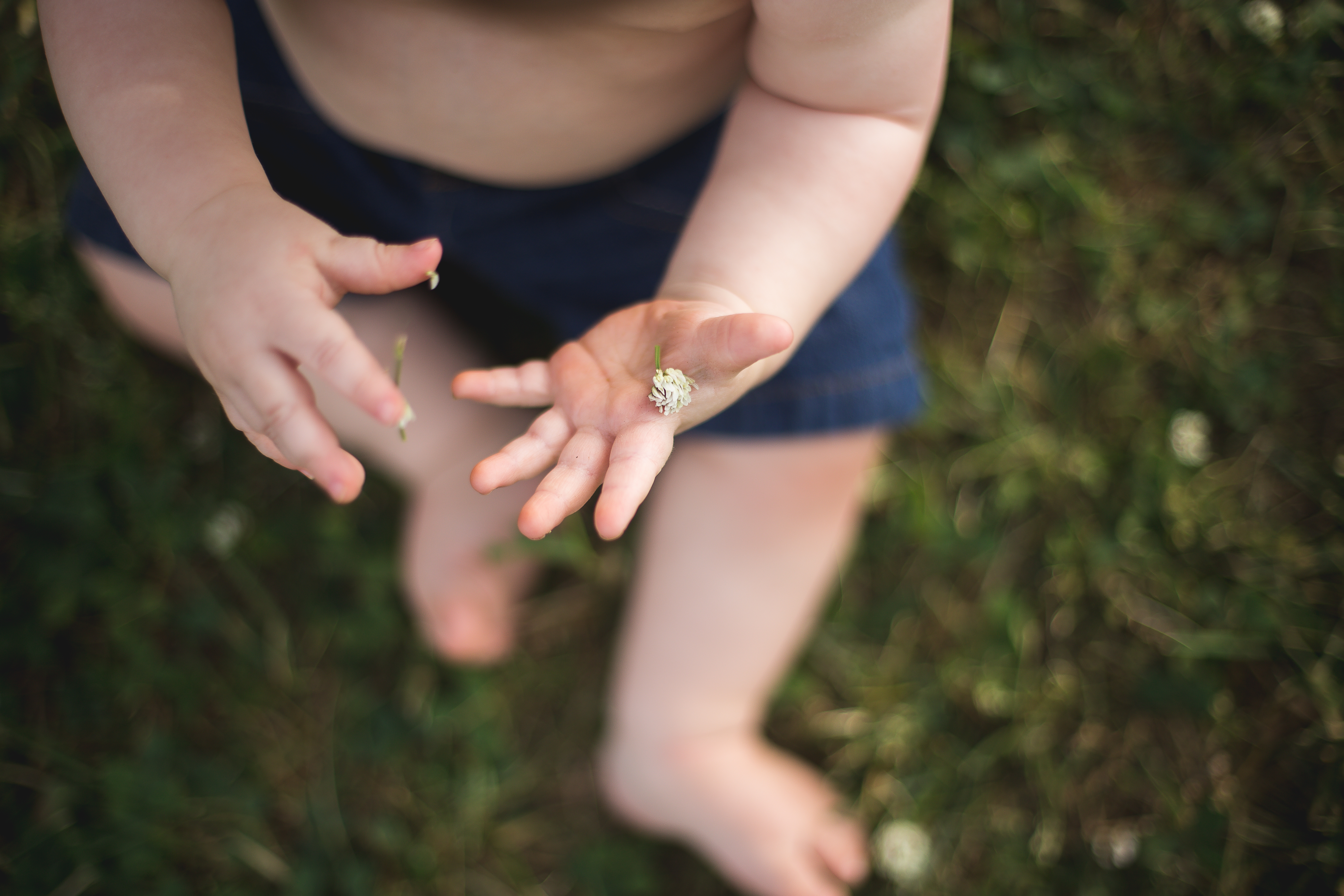Atlanta Baby Photographer