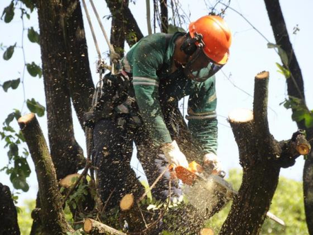 Atenção no trânsito perto da delegacia nesta sexta-feira em Varginha