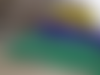 PM apreende 400 quilos de maconha durante operação em Uberlândia