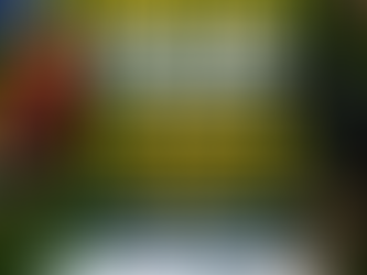 Zoobotânico de Varginha funcionará até as 14h por causa do jogo da Seleção Brasileira