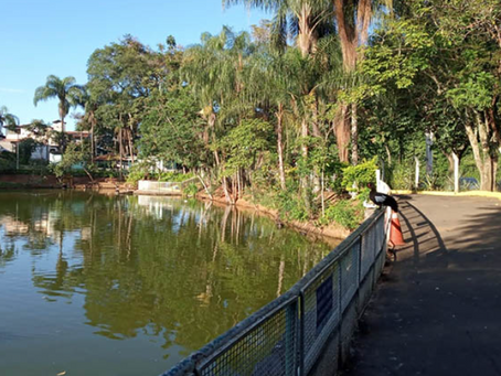 Parque Novo Horizonte permanece fechado nesta terça-feira após queda de árvore em Varginha