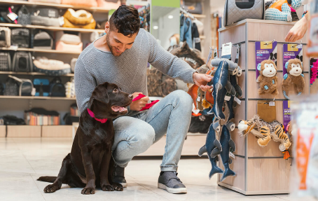 Setor pet em Minas movimenta R$ 7,3 bilhões e concentra 11% da população animal do Brasil