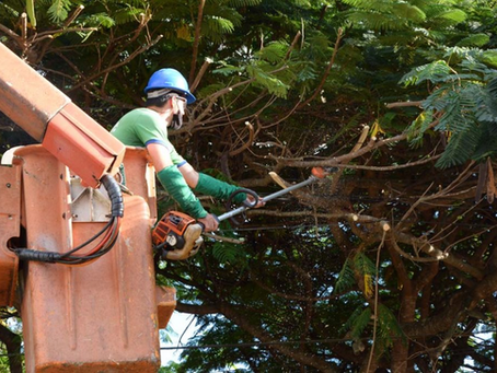 Prefeitura realiza interdição de via para serviços no Cemitério Municipal