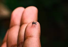Mutirão da Dengue atenderá nova etapa do bairro Sion em Varginha