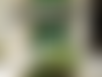 Cobrança de multas criminais em Minas atinge R$ 16 milhões com protestos e parcelamentos