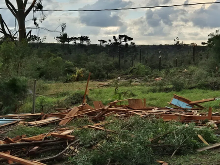 Tornados deixam estragos no Paraná e produtores cobram ajuda emergencial