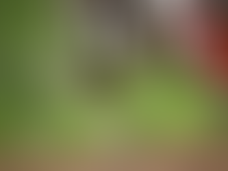 Anvisa aprova Butantan-DV, primeira vacina brasileira de dose única contra a dengue