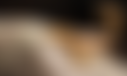 Poços de Caldas em alerta: autoridades reforçam cuidados e prevenção contra escorpiões