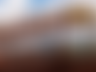 Cedro vai investir R$ 5 bilhões em logística em Minas Gerais