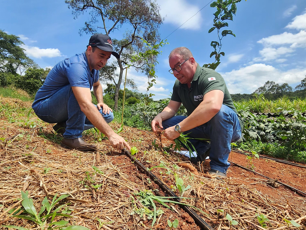 Emater-MG promove dia de campo para divulgar programa de solos saudáveis em Três Pontas