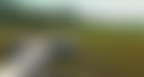 Proliferação de plantas aquáticas prejudicando o uso do Rio Grande entre Cássia e Delfinópolis