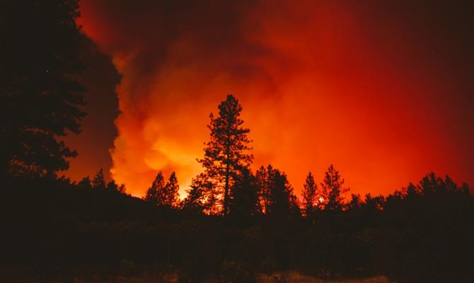 incêndio 