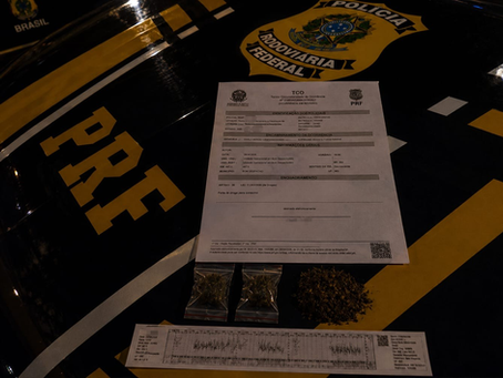 Fiscalização da PRF encontra droga e diversas irregularidades em rodotrem em Minas Gerais