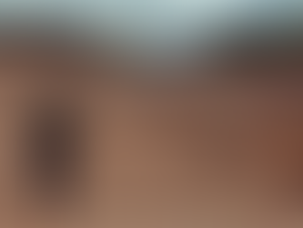 Investimento fortalece atuação da Polícia Federal contra mineração ilegal em MG