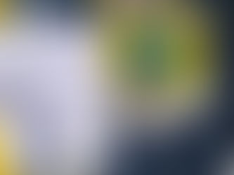 PRF cumpre mandado de prisão por roubo a banco: Indivíduo conduzido à Delegacia da PF em Varginha