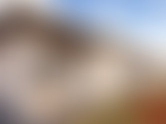 Programa habitacional lança 53 obras em uma semana; maioria é na modalidade rural