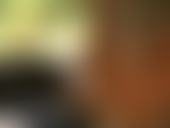 Com mais de 1,2 milhão de condutores idosos, Minas reforça atenção à segurança viária