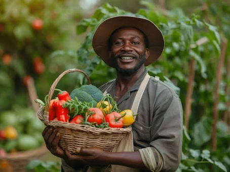 Fenômeno climático ameaça economias africanas e pode provocar crise alimentar