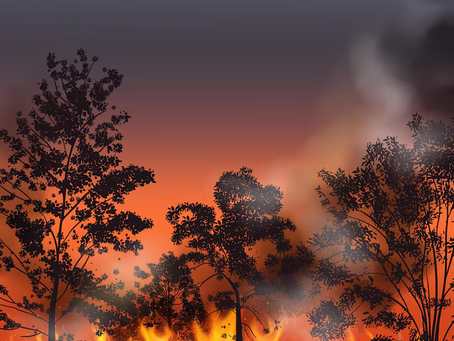 Incêndios preocupam organização da Copa e podem impactar decisão do Mundial