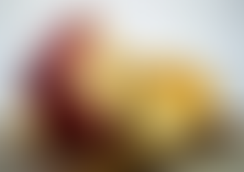 Dia de Campo integra vitivinicultura e queijaria no Sul de Minas