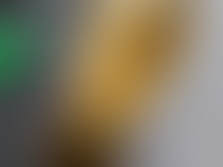 Nova fase de vendas da Copa 2026 começa hoje com modelo por ordem de chegada