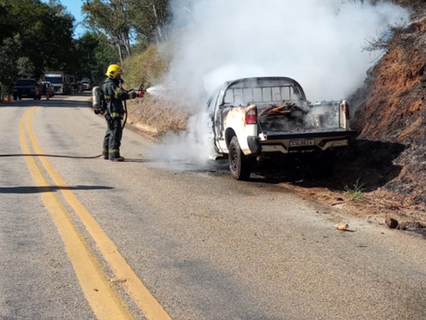 Fogo atinge caminhonete e vegetação às margens de rodovia em Minas