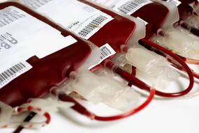 Doação de sangue terá novas regras a partir de outubro com redução de prazos