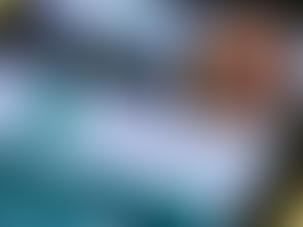 Pix em debate na Câmara: segurança, novos recursos e golpes em foco