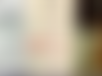 ET de Varginha existiu? Documentos das Forças Armadas descartam versão ufológica