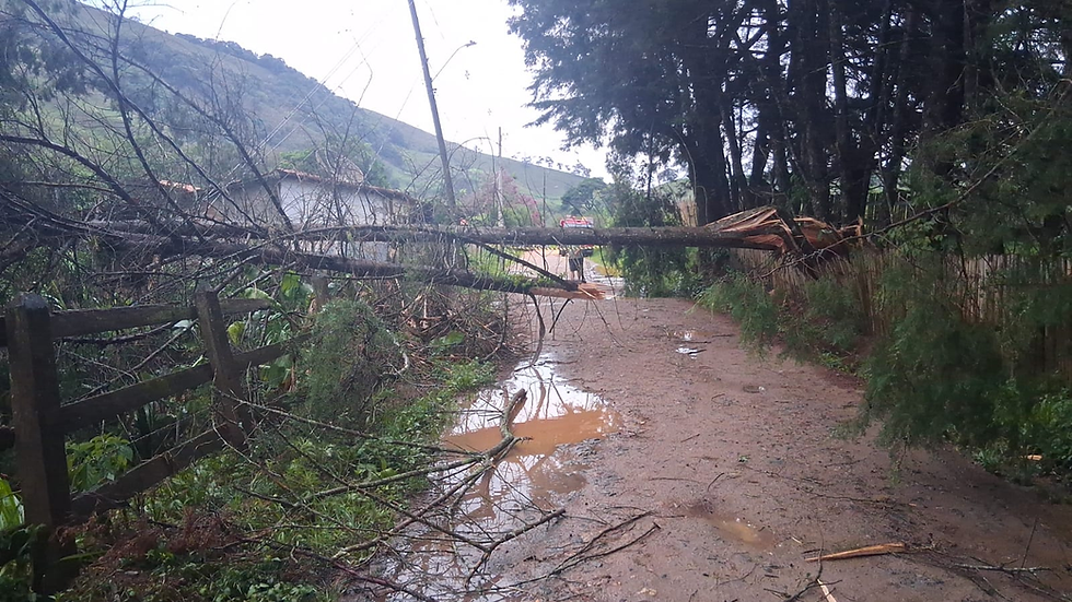 Bombeiros e Defesa Civil atuam em ocorrência de queda de árvore sobre fiação em Itajubá