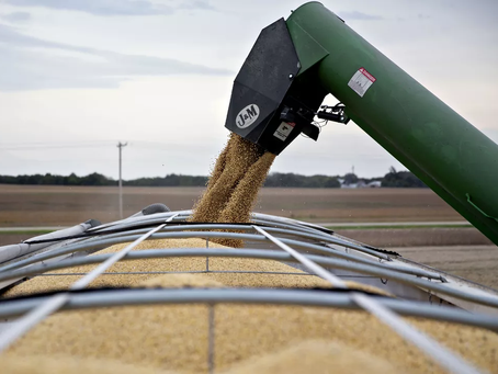 China corta importações de soja dos EUA e pressiona Brasil com alta demanda