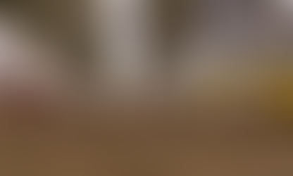 Granjas do Sul de Minas redobram prevenção após caso confirmado de gripe aviária no Estado