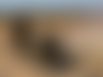 Forcas Armadas realizam em Formosa maior exercicio militar conjunto de 2025