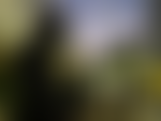 Policia Federal prende oito suspeitos de fraudes contra o PIX