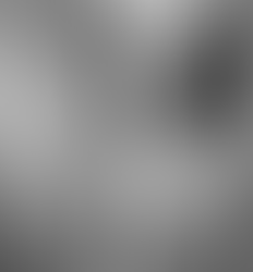 Embaixada da Hungria demite funcionários brasileiros responsáveis pelo vazamento de vídeos que mostram Bolsonaro