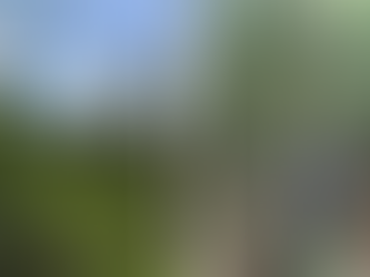 Licença ambiental para loteamento é suspensa por risco à Mata Atlântica em Montes Claros