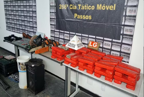 Reprodução