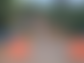 Ponte de acesso a Munhoz segue interditada por risco de colapso, informa DER-MG