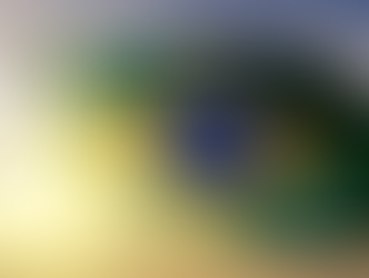 Brasil lança diretriz para integrar sistemas alimentares e ação climática durante a COP30