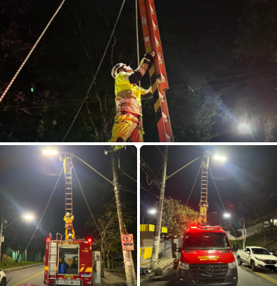 Bombeiros resgatam pombo preso em poste de iluminação no centro de Pouso Alegre