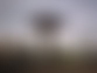 Veja o funcionamento das repartições públicas municipais devido ao feriado de 12 de Outubro