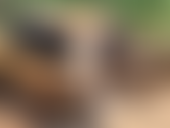 Ossada humana é encontrada ao lado de carro queimado em Monte Belo